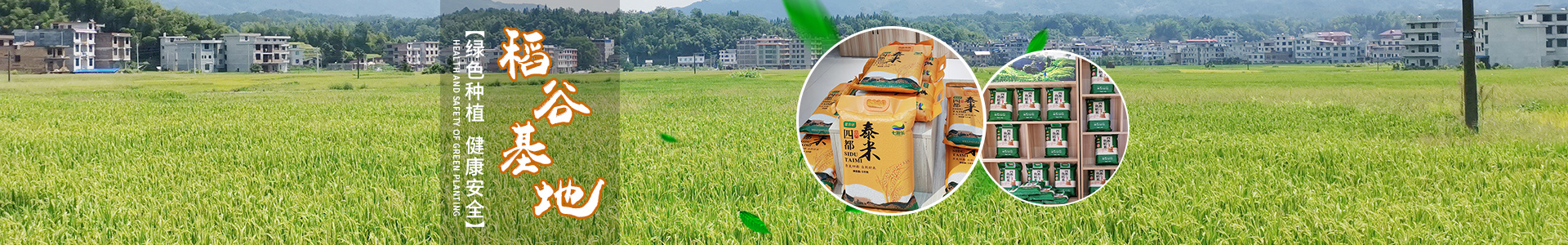 湖南泓天現(xiàn)代農業(yè)發(fā)展有限公司